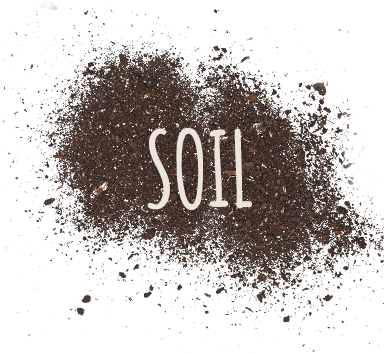 soil